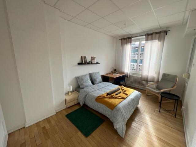 Chambres Privees -Private Room- Dans Un Spacieux Appartement - 100M2 Centre Proche Gare Mulhouse Exterior photo